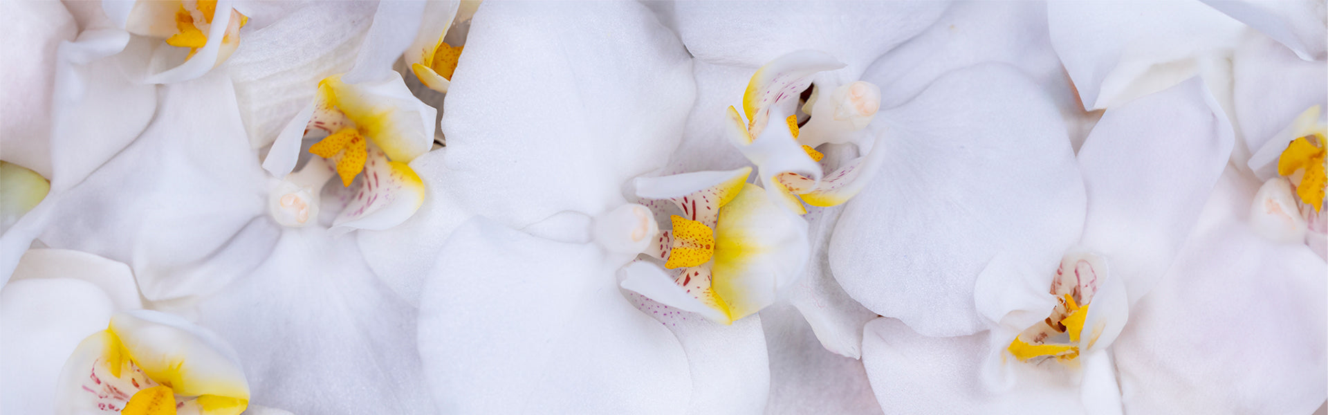 Is organic better for your skin?